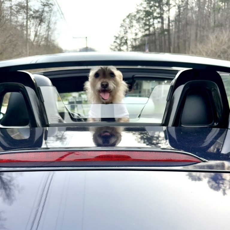 Suggies grinning over the back of the Miata roadster